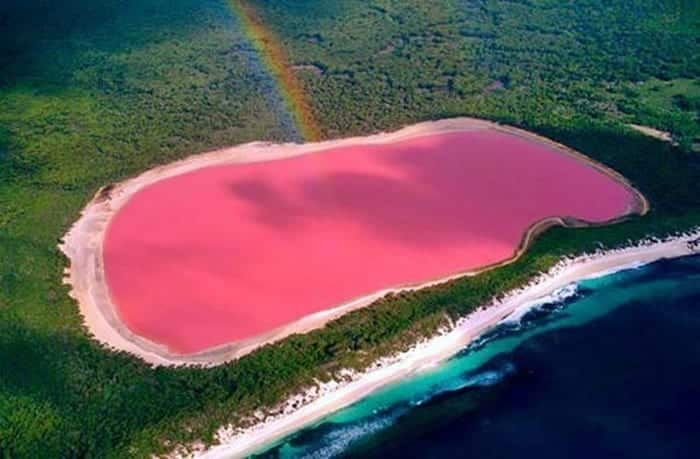 Pembe Göller