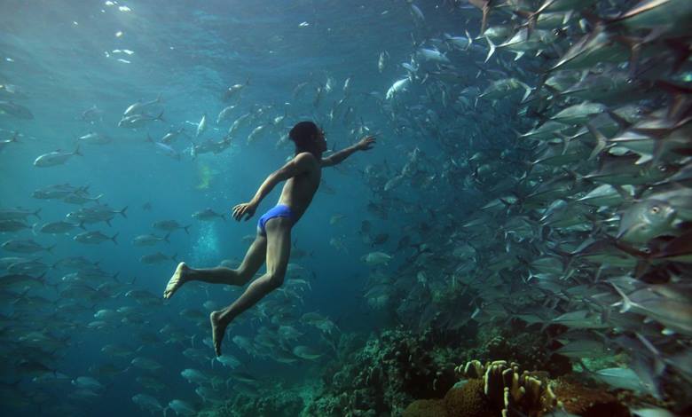 Bajau Kabilesi: Suyun İçinde Yaşamaya Adapte Olmuş İnsanlar İle Tanışın!