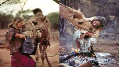 Robyn Davidson