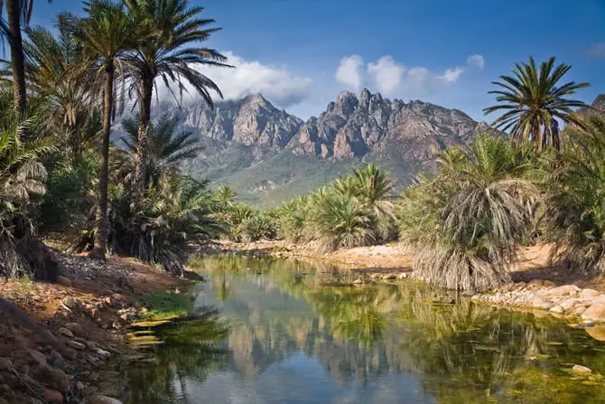 Socotra Takımadaları Neden Dünyanın Cennet Bahçesi Olarak Biliniyor?