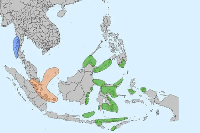 Bajau Kabilesi: Suyun İçinde Yaşamaya Adapte Olmuş İnsanlar İle Tanışın!