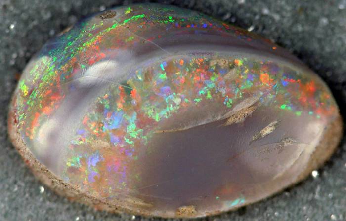 opal tasi