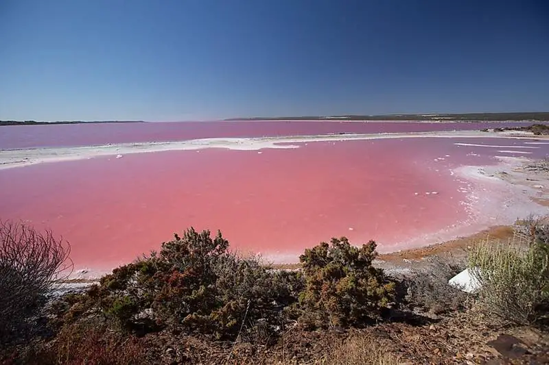 Pembe Göller