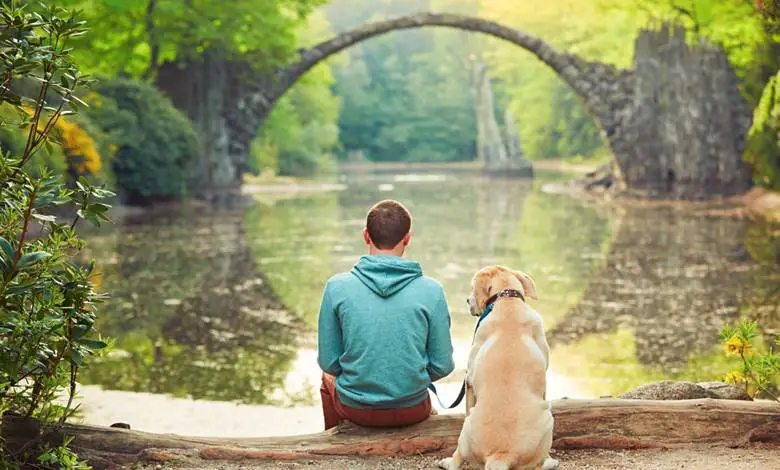 Overtoun Köprüsü Neden Köpek İntihar Köprüsü Olarak Bilinir?