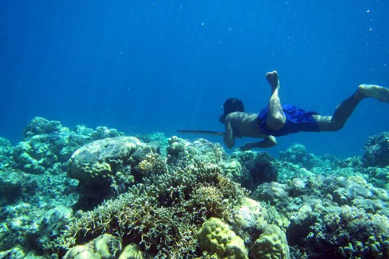 Bajau Kabilesi: Suyun İçinde Yaşamaya Adapte Olmuş İnsanlar İle Tanışın!