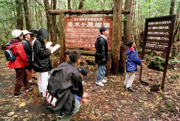 Aokigahara forest