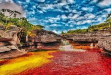 Caño Cristales