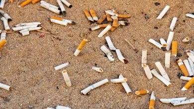 Sigara İzmaritlerinin Çevre Kirliliğine Etkisi Tahminimizden Fazla